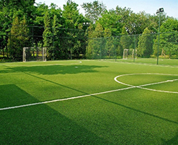 運動草坪